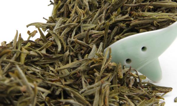 Anti Fatigue Chinese Green Tea An Hui Province Fresh Natural Tea Leaf